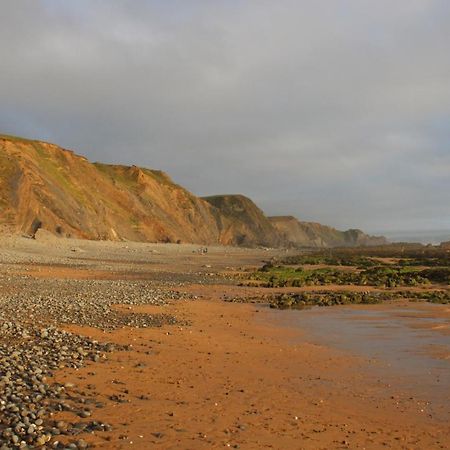 Luxury Cornish Holiday Accommodation With Sea View Bude Exteriér fotografie